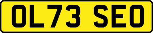 OL73SEO