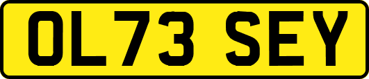 OL73SEY