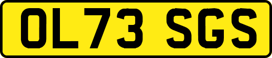 OL73SGS