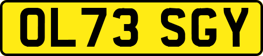 OL73SGY