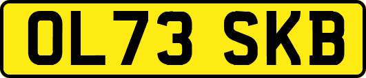 OL73SKB