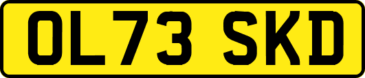 OL73SKD