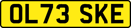 OL73SKE