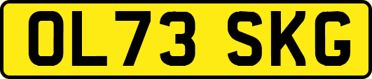 OL73SKG