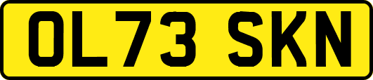 OL73SKN