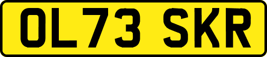 OL73SKR