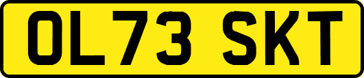 OL73SKT