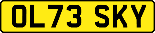 OL73SKY