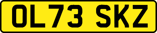 OL73SKZ