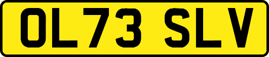 OL73SLV