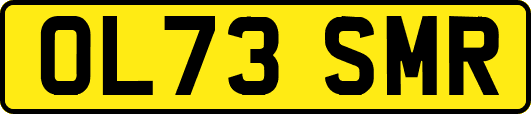 OL73SMR