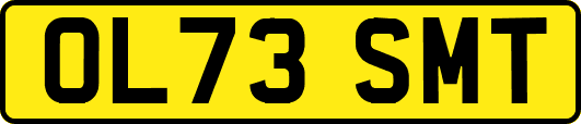 OL73SMT