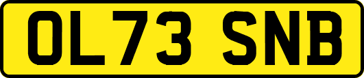 OL73SNB
