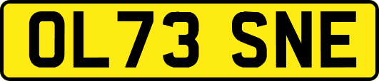 OL73SNE
