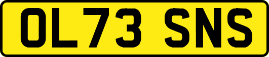 OL73SNS