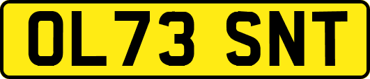 OL73SNT