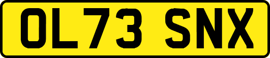 OL73SNX