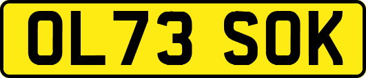OL73SOK