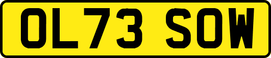 OL73SOW
