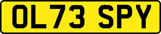 OL73SPY