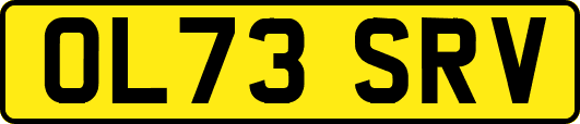 OL73SRV