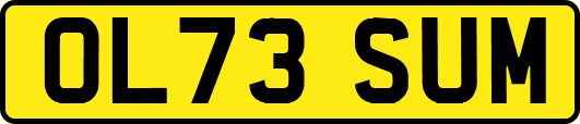 OL73SUM