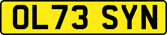 OL73SYN