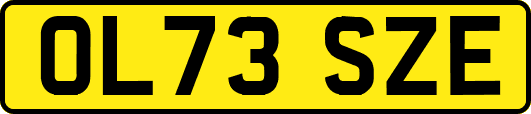 OL73SZE