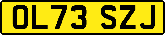 OL73SZJ