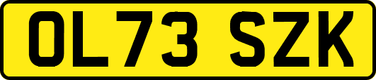 OL73SZK