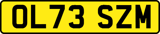 OL73SZM