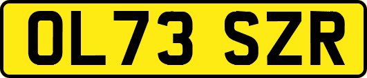 OL73SZR