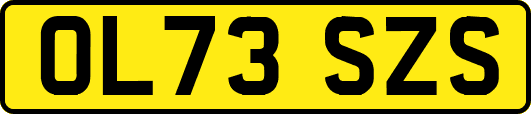 OL73SZS