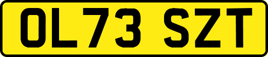 OL73SZT