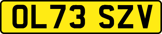 OL73SZV