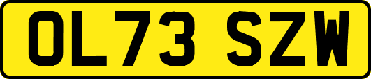 OL73SZW
