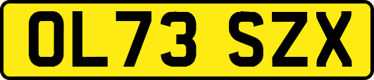 OL73SZX