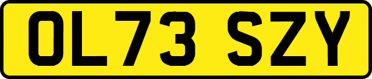 OL73SZY