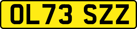 OL73SZZ