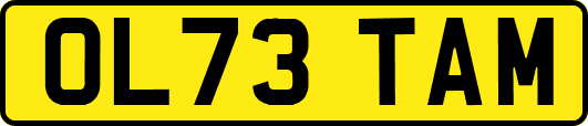 OL73TAM
