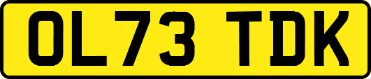 OL73TDK