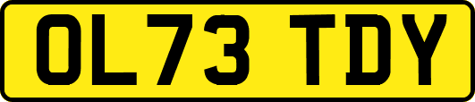 OL73TDY