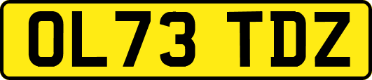 OL73TDZ