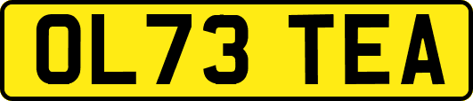 OL73TEA
