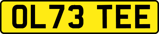OL73TEE