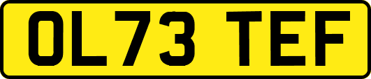 OL73TEF