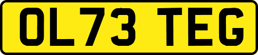OL73TEG