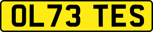 OL73TES