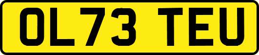 OL73TEU