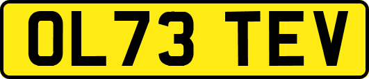OL73TEV